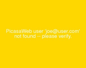 Sample 'PicasaWeb user not found' image