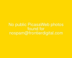 Sample 'No public PicasaWeb photos found image'
